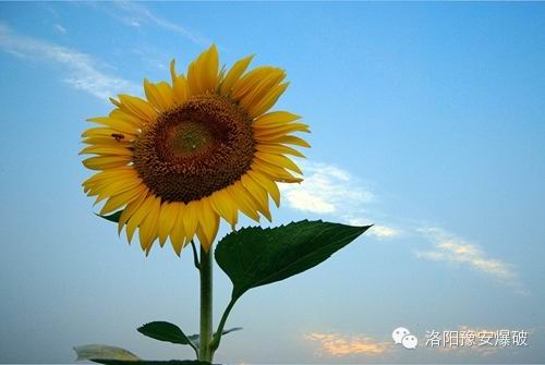 正能量的三句話，就短短三句話